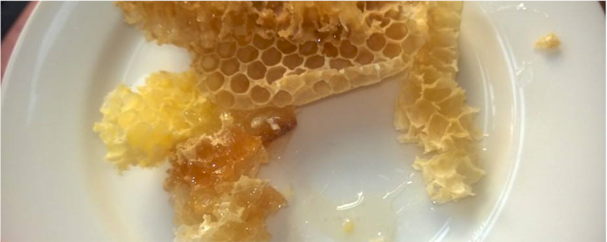 Burr Comb Honey